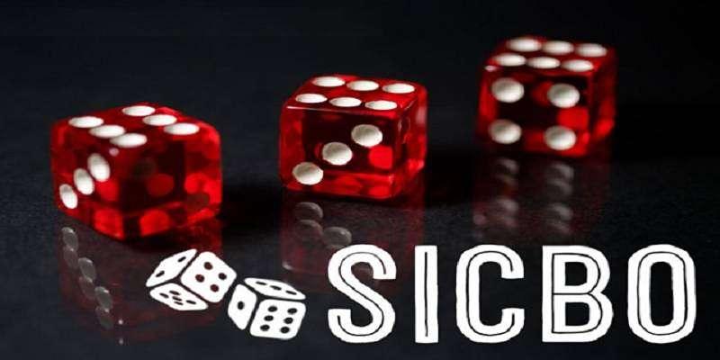 Các Loại Cược Phổ Biến Và Bí Quyết Chọn Lựa