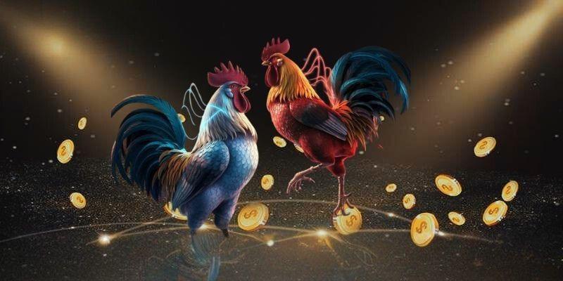 Các Nền Tảng Đá Gà Trực Tuyến Debet Tốt Nhất Hiện Nay